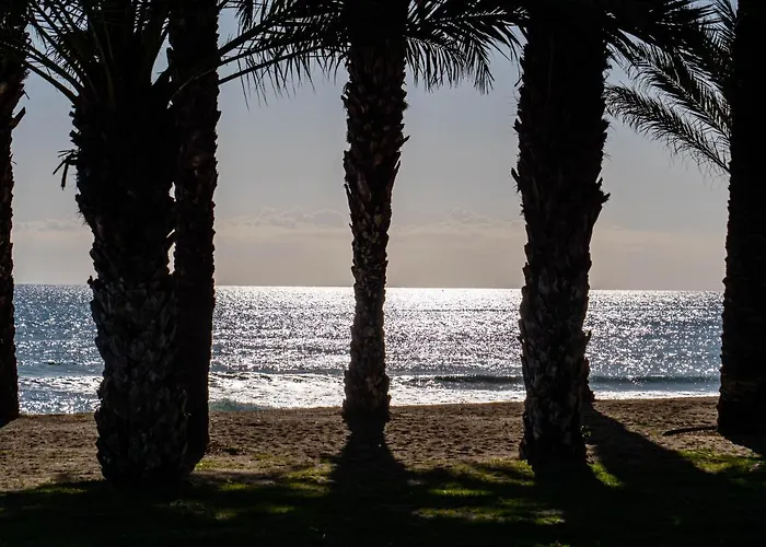 Apartment Palm - *