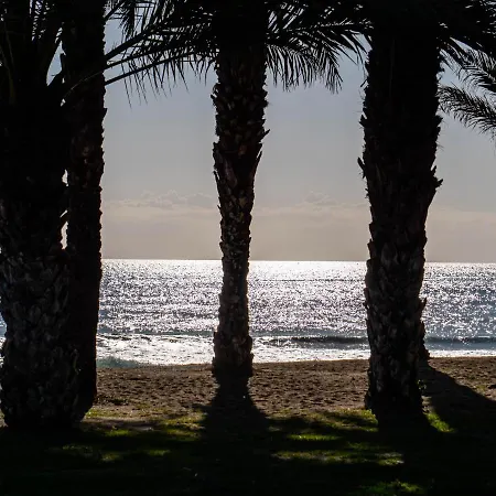 Apartmán Palm - *